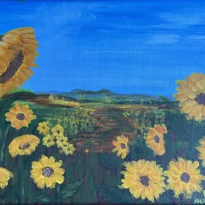 Sunflower field Aug 2020